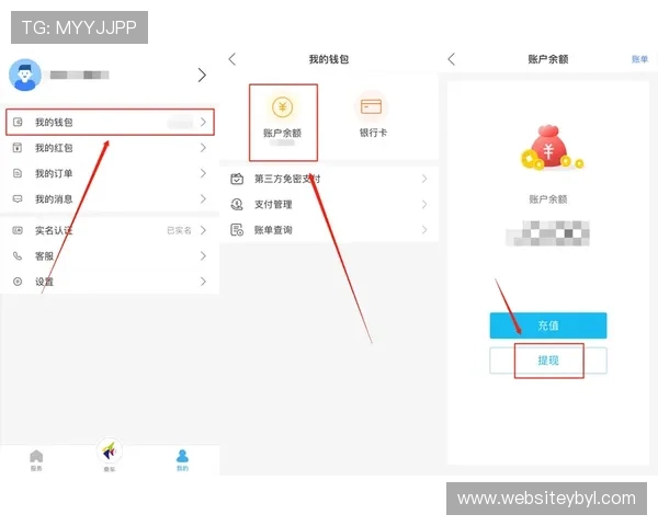 亚博YaBo备用网址便捷的充值提现流程，快速到账保障用户资金流动