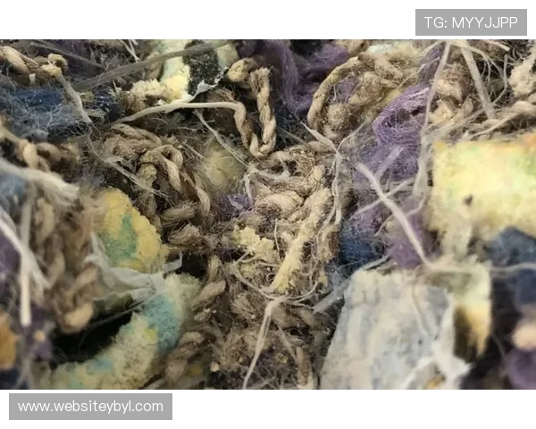 亚博YB滚球比赛规则详解及常见误区解析让你投注更科学合理